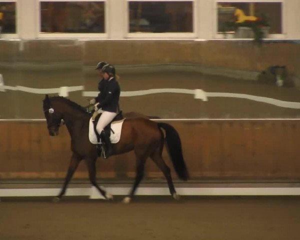 dressage horse Eismond 2 (Trakehner, 1998, from Caprimond)
