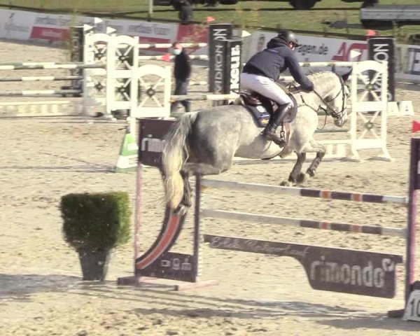 Reitturnier Westergellersen 2021