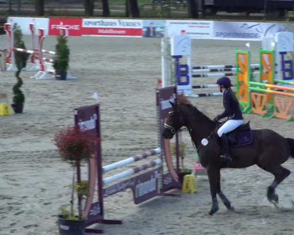 Reitturnier Westergellersen 2021