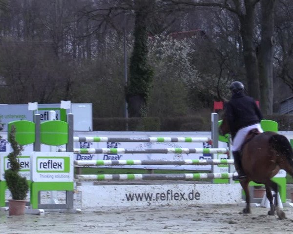 Reitturnier Münster-Handorf 2021