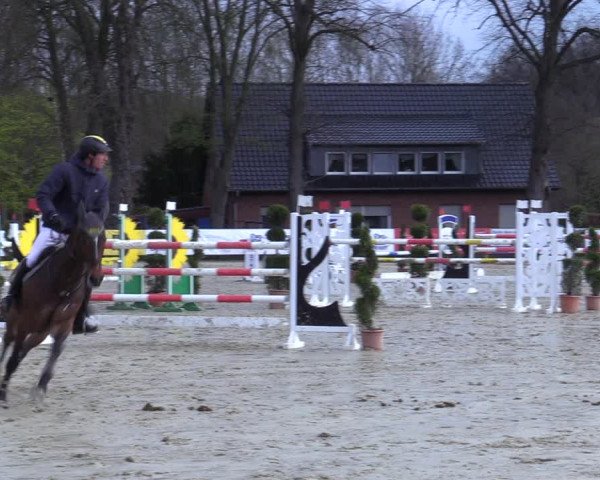 Reitturnier Münster-Handorf 2021