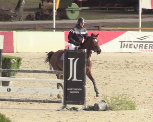 Reitturnier Westergellersen 2021