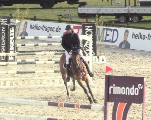 Reitturnier Westergellersen 2021