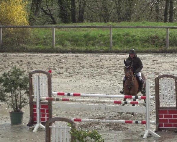 Reitturnier Erkrath - Uhlenhof 2021
