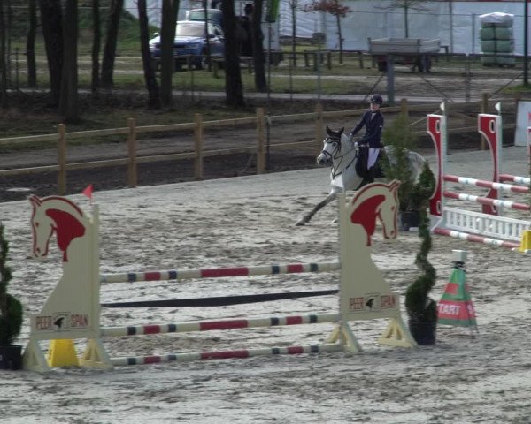 Reitturnier Westergellersen 2021
