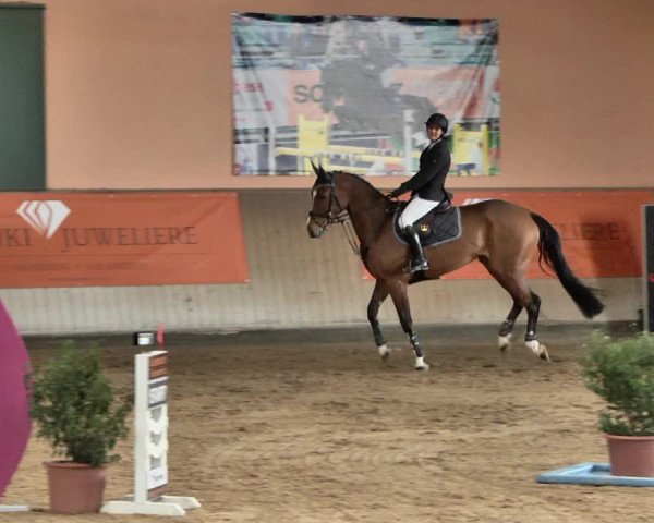 Reitturnier Gut Winkelacker/Obb. 2021
