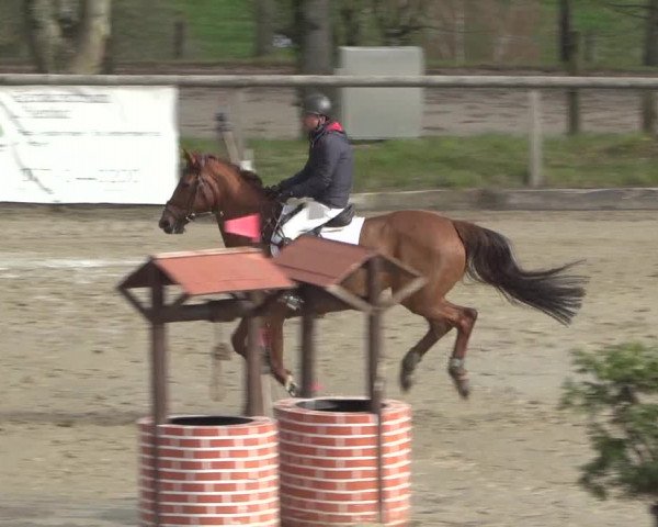 Reitturnier Erkrath - Uhlenhof 2021