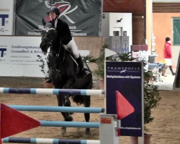 Reitturnier Gut Winkelacker/Obb. 2021
