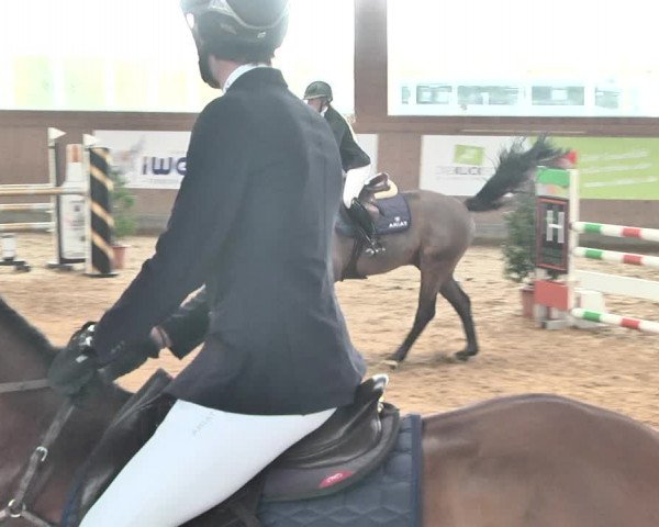 Reitturnier Gut Winkelacker/Obb. 2021