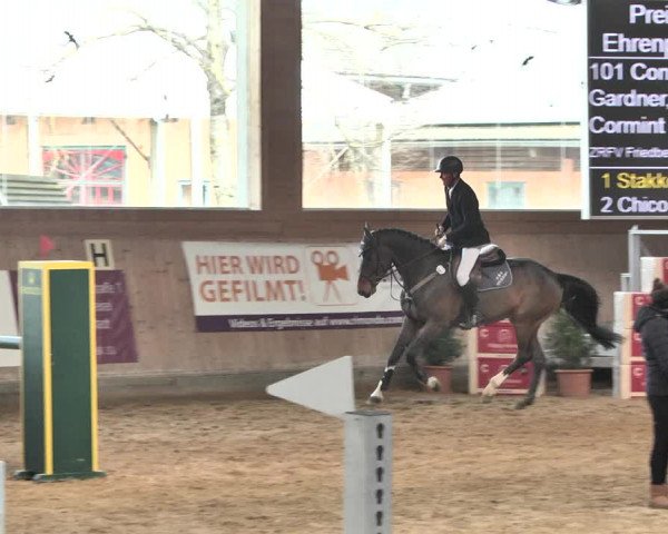 Reitturnier Gut Winkelacker/Obb. 2021