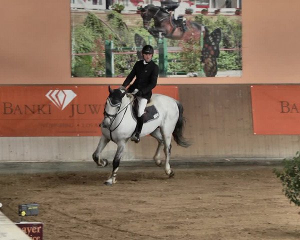 Reitturnier Gut Winkelacker/Obb. 2021