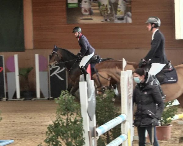 Reitturnier Gut Winkelacker/Obb. 2021
