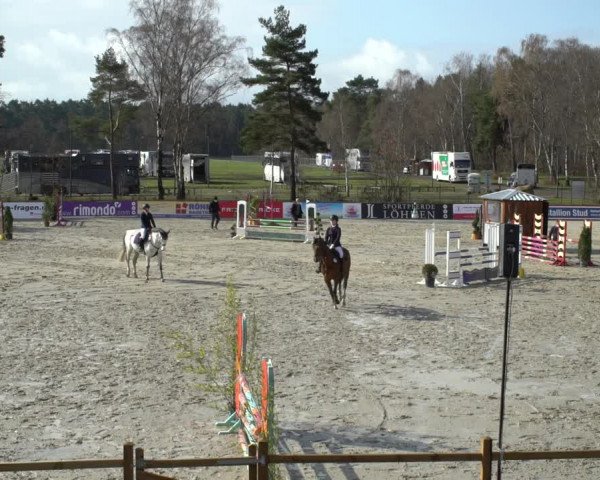 Reitturnier Westergellersen 2021