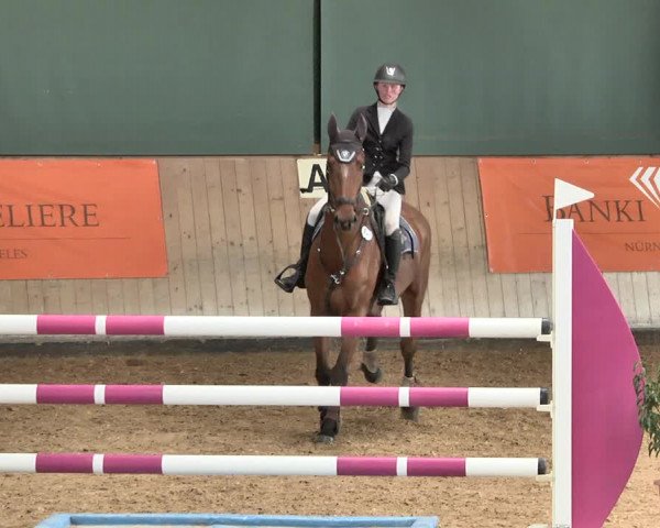 Reitturnier Gut Winkelacker/Obb. 2021