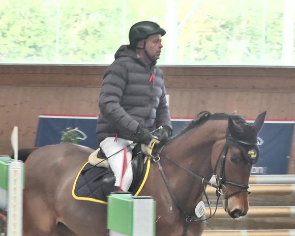Reitturnier Gut Winkelacker/Obb. 2021