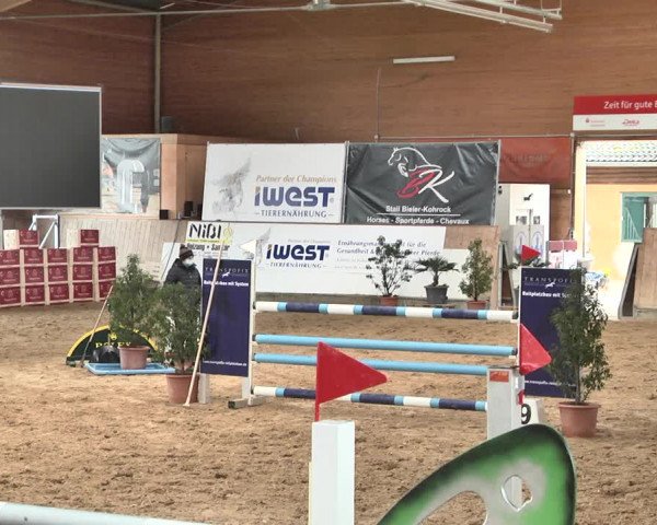 Reitturnier Gut Winkelacker/Obb. 2021