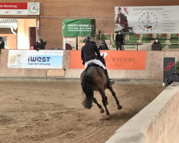 Reitturnier Gut Winkelacker/Obb. 2021
