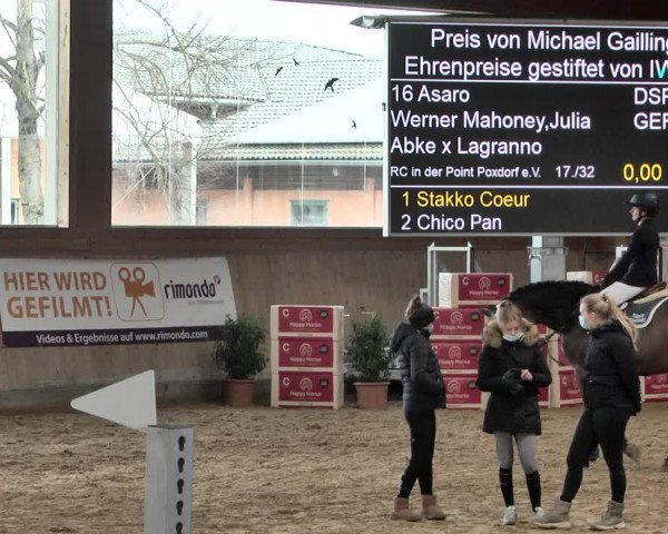 Reitturnier Gut Winkelacker/Obb. 2021