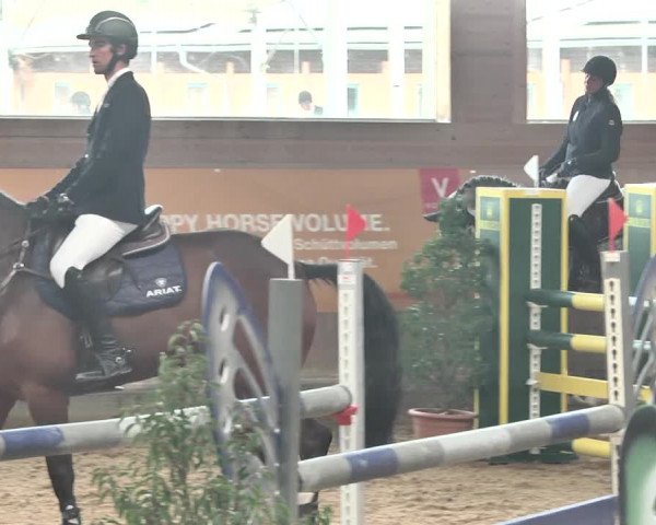 Reitturnier Gut Winkelacker/Obb. 2021