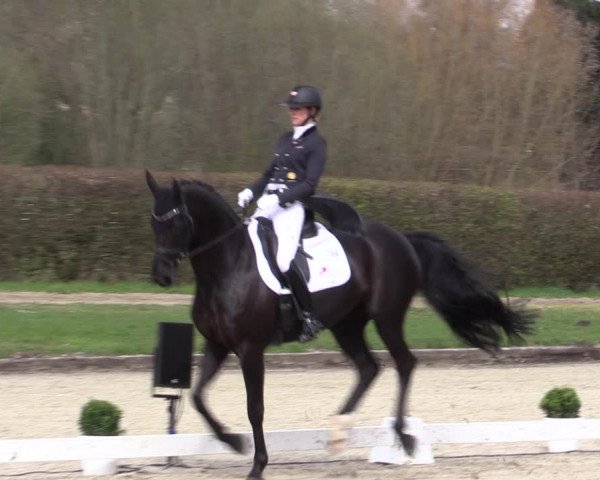 Reitturnier Münster-Handorf 2021