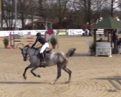 jumper El Pappi (Oldenburg, 2009, from Elliot van Ter Hulst)