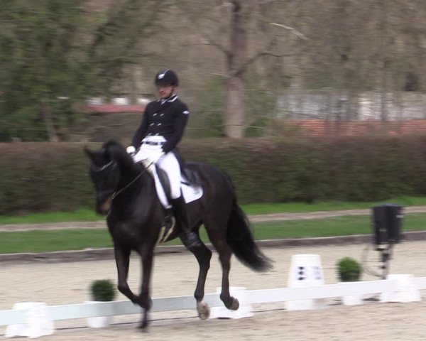 Reitturnier Münster-Handorf 2021