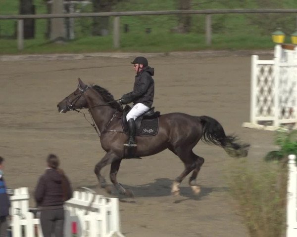 Reitturnier Erkrath - Uhlenhof 2021