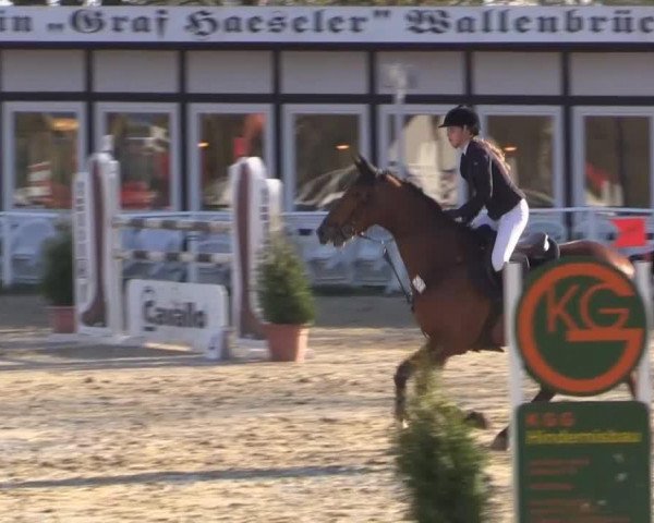 broodmare Cosma 45 (German Sport Horse, 2007, from Canterbury)