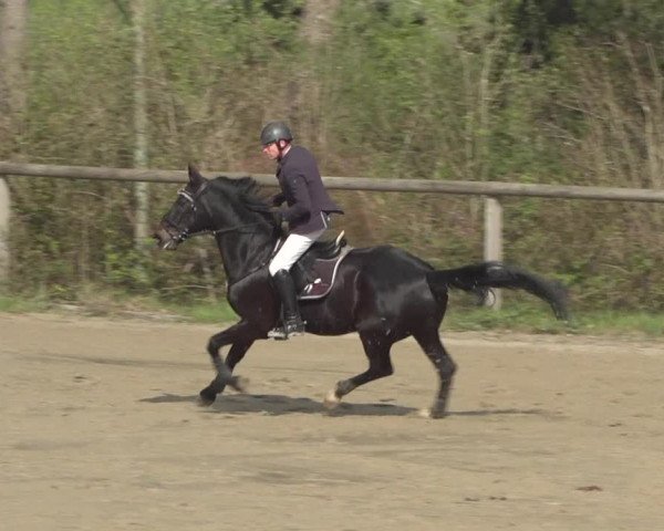 Reitturnier Erkrath - Uhlenhof 2021