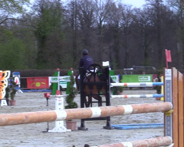 Reitturnier Münster-Handorf 2021