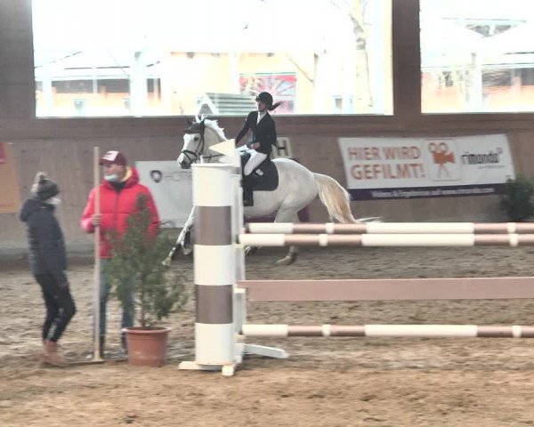 Reitturnier Gut Winkelacker/Obb. 2021