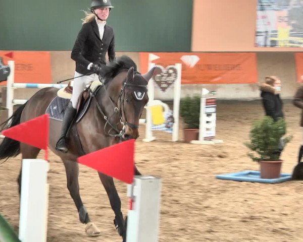 Reitturnier Gut Winkelacker/Obb. 2021