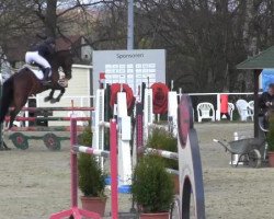 Zuchtstute Lintana 2 (Westfale, 2009, von Hh Linton)