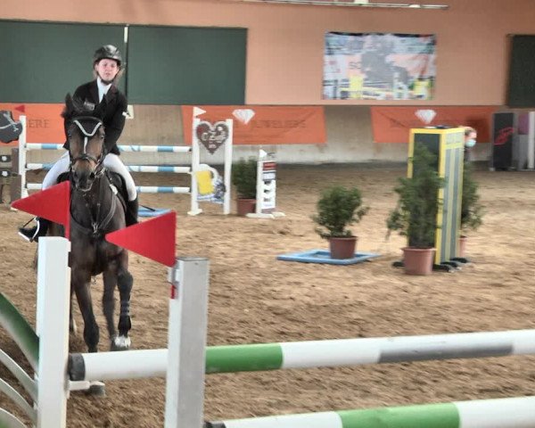 Reitturnier Gut Winkelacker/Obb. 2021