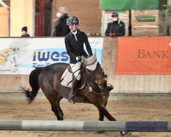 Reitturnier Gut Winkelacker/Obb. 2021