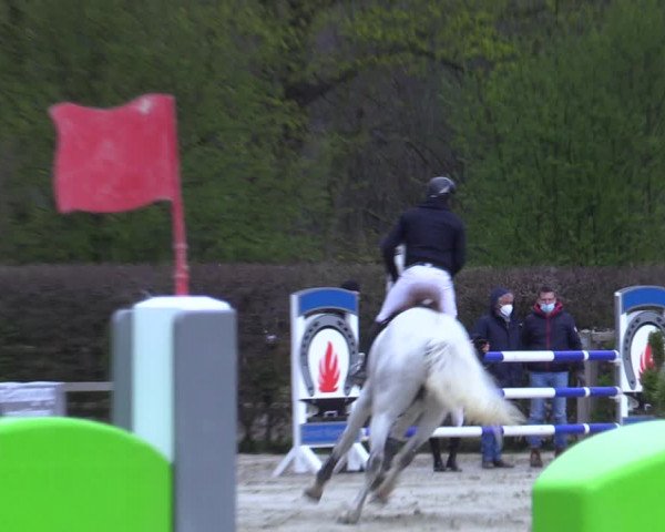Reitturnier Münster-Handorf 2021