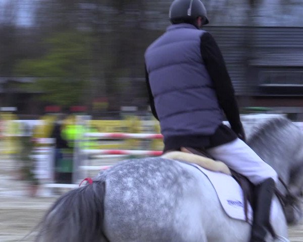 Reitturnier Münster-Handorf 2021