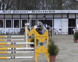 jumper Coco Loco R (Oldenburg, 2000, from Contender)