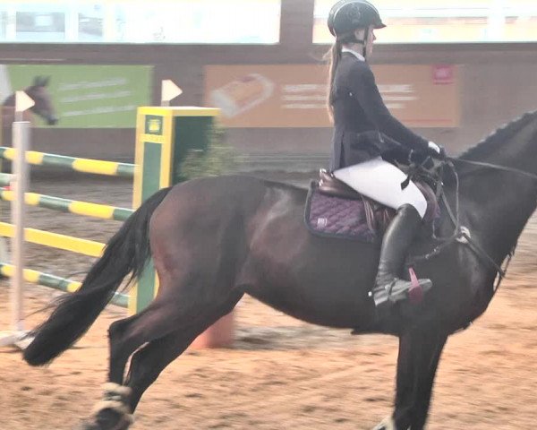 Reitturnier Gut Winkelacker/Obb. 2021