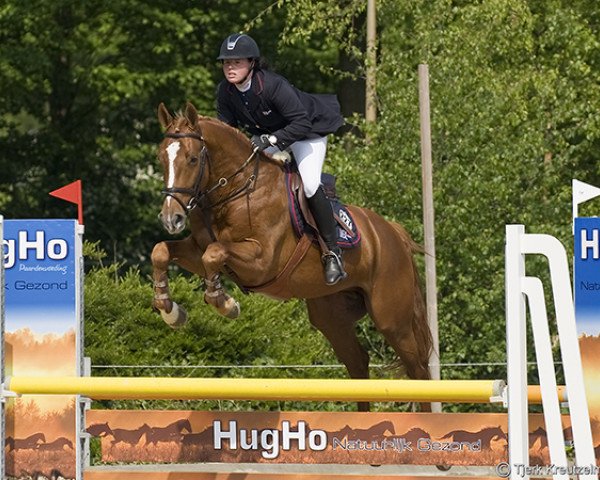 jumper VDL Groep Bellami (Zangersheide riding horse, 2006, from Quaprice Z)
