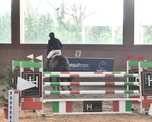 Reitturnier Gut Winkelacker/Obb. 2021