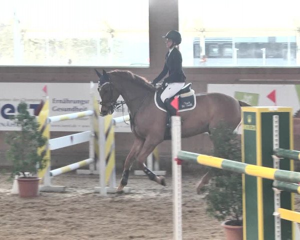Reitturnier Gut Winkelacker/Obb. 2021