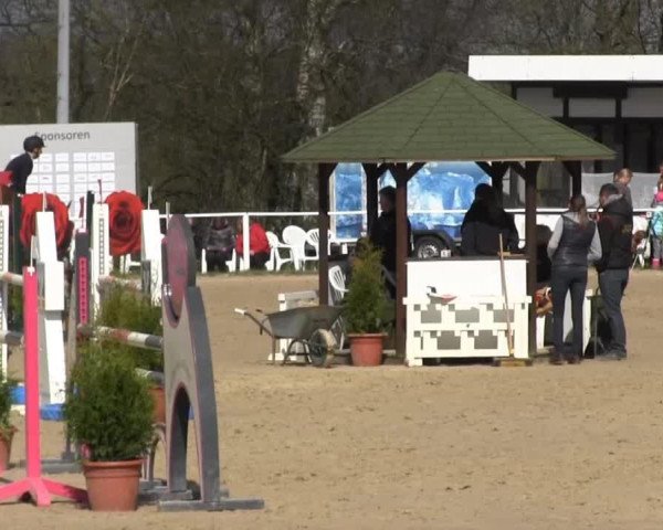 broodmare Chiquiletta (Oldenburg, 2009, from Checkpoint 19)