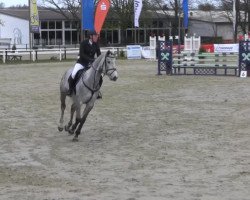 jumper Carla Levista (German Sport Horse, 2009, from Cancoon)