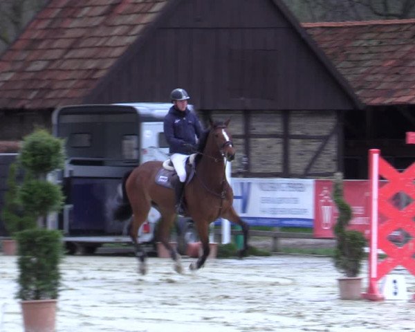 Reitturnier Münster-Handorf 2021