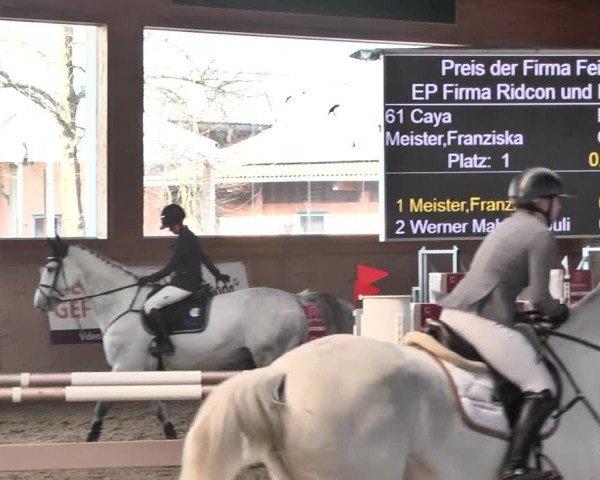 Reitturnier Gut Winkelacker/Obb. 2021