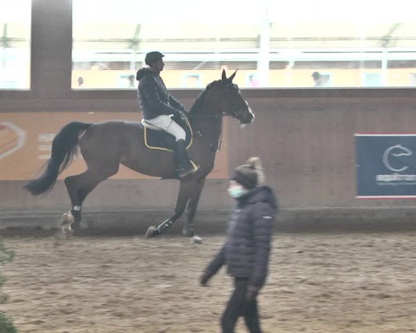 Reitturnier Gut Winkelacker/Obb. 2021