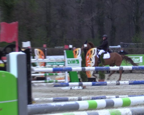 Reitturnier Münster-Handorf 2021