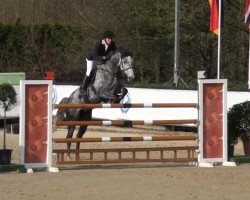 horse Durania (unknown, 2008)