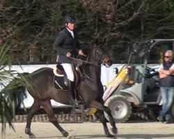 horse Izzy By Picoello (unknown, 2008)